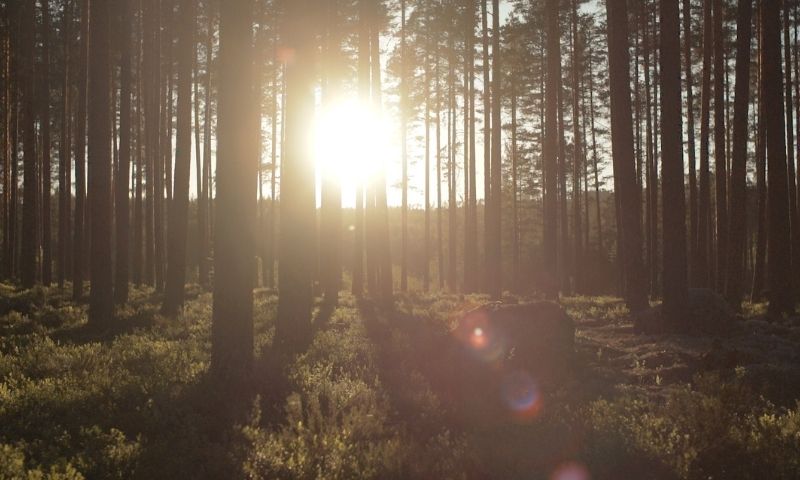 Kestävän tulevaisuuden turvaaminen